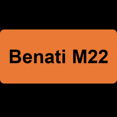 Benati M22